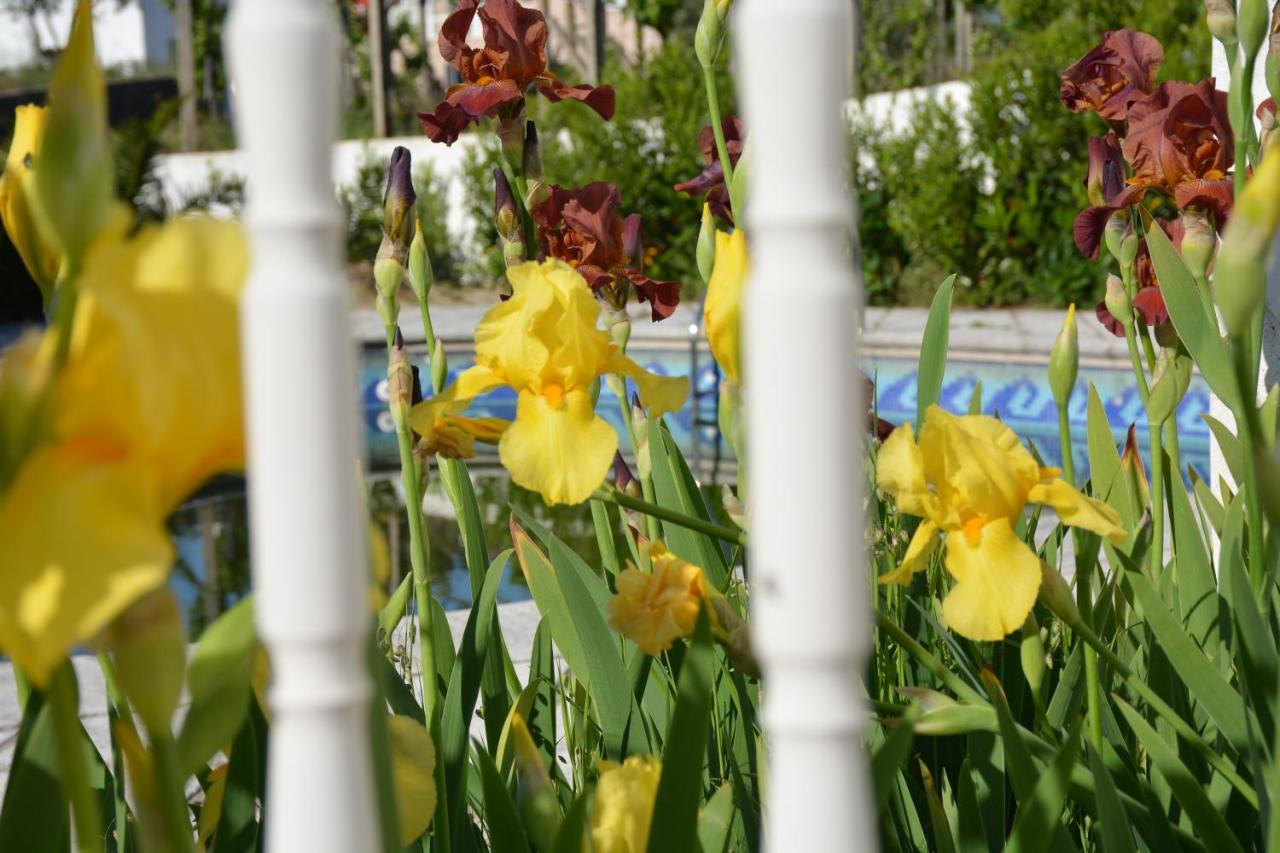 Carvalheira Grande Casa Da Rosa Bed & Breakfast エクステリア 写真